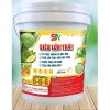 agrisa avt sieu lon trai npk 6 6 6