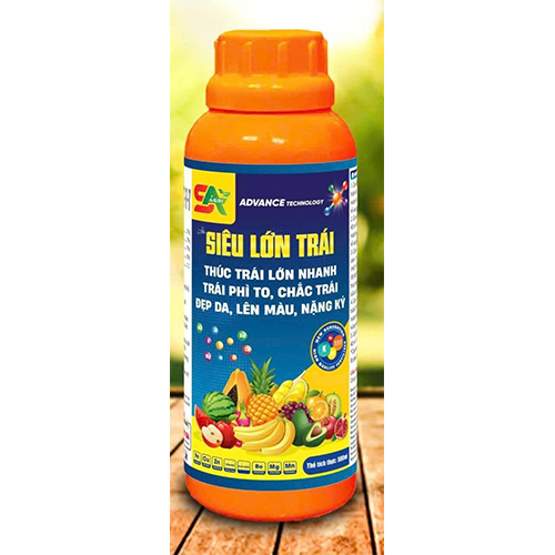 agrisa avt sieu lon trai thuc trai lon nhanh trai phi to