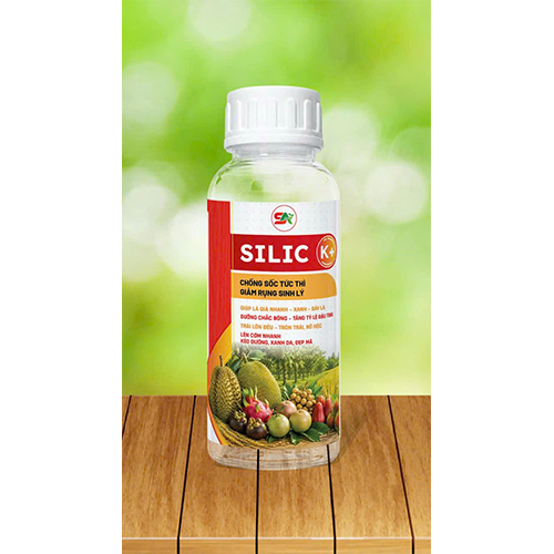 silic k cham soc tuc thi giam rung sinh li16-8-26